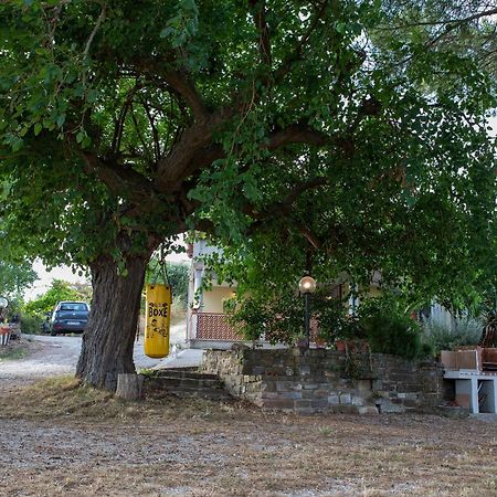 Casa Vacanze Diamante Ogliastro Cilento Zewnętrze zdjęcie