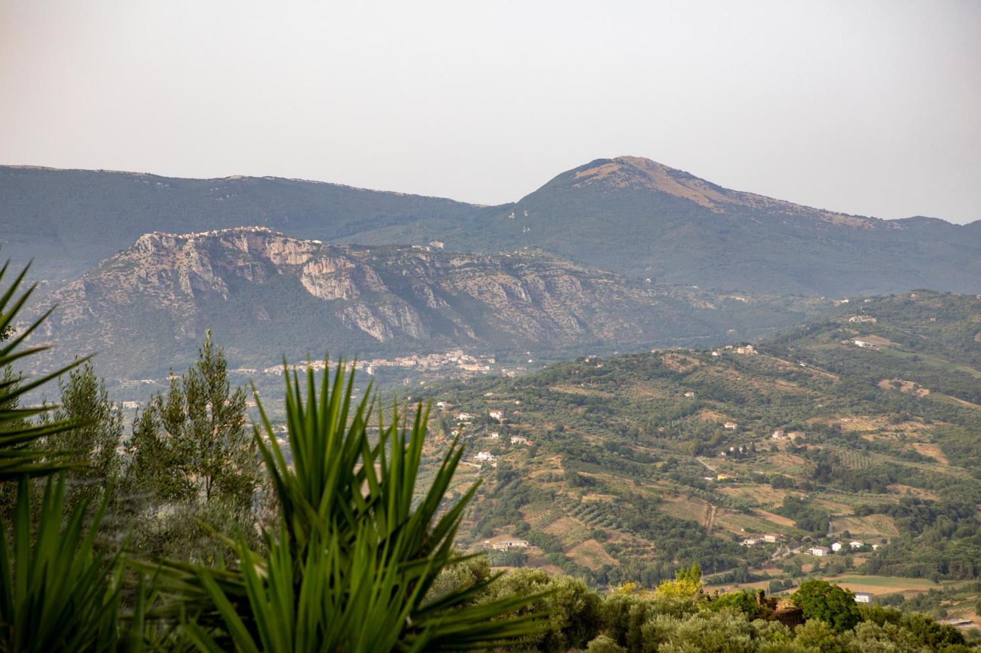 Casa Vacanze Diamante Ogliastro Cilento Zewnętrze zdjęcie