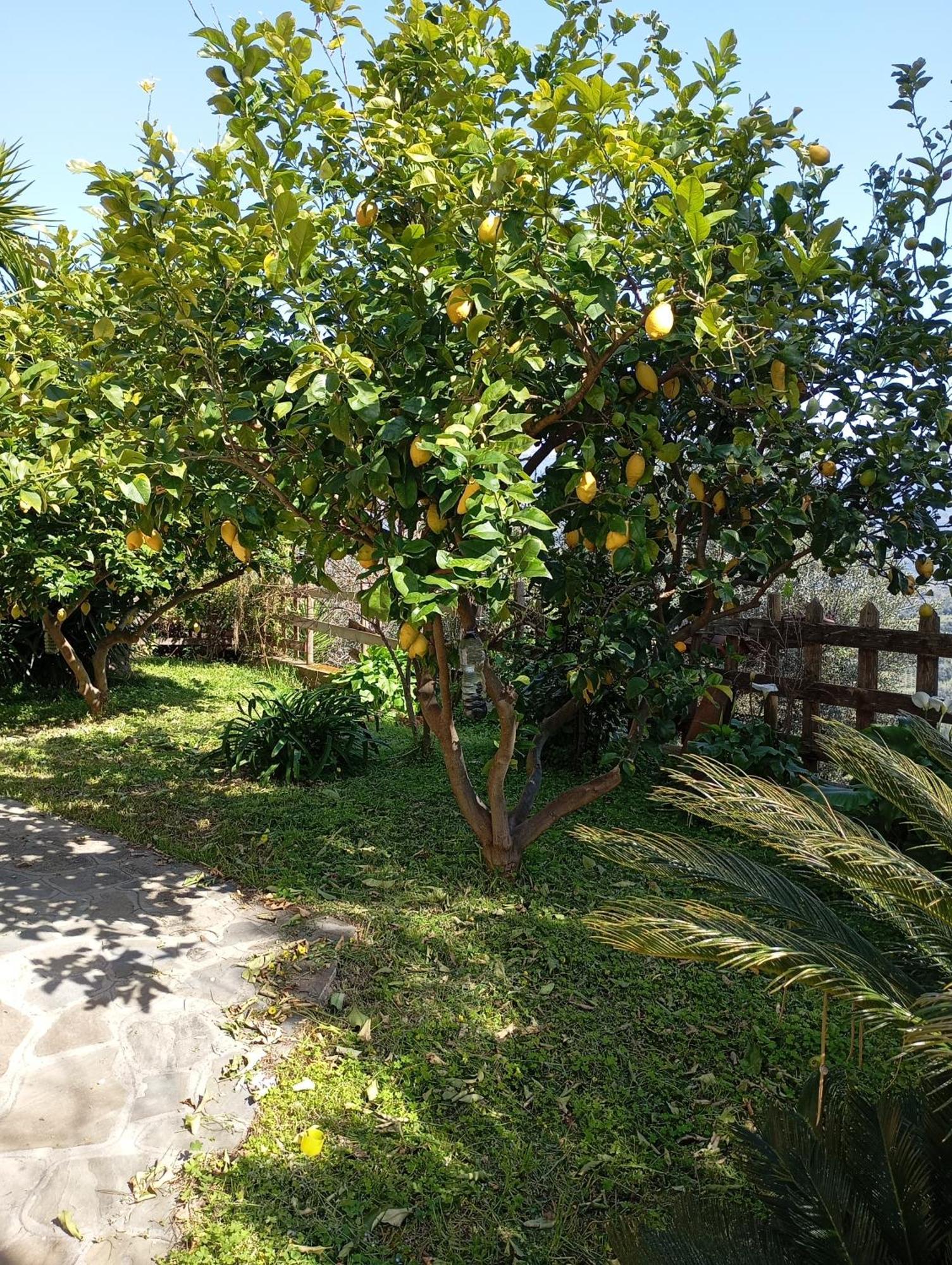 Casa Vacanze Diamante Ogliastro Cilento Zewnętrze zdjęcie