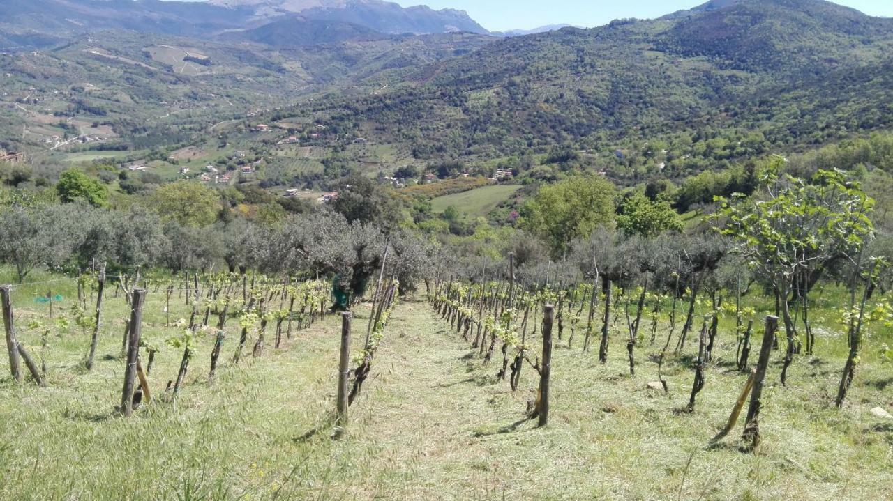 Casa Vacanze Diamante Ogliastro Cilento Zewnętrze zdjęcie