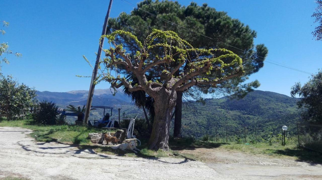 Casa Vacanze Diamante Ogliastro Cilento Zewnętrze zdjęcie