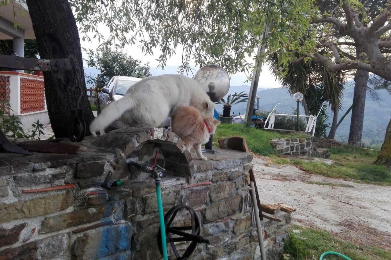 Casa Vacanze Diamante Ogliastro Cilento Zewnętrze zdjęcie